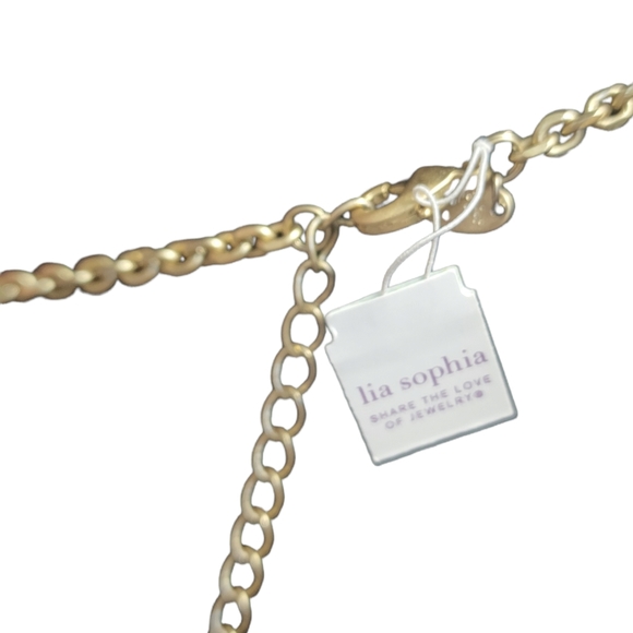 Lia sophia garden rose necklace 🆕️ - Picture 4 of 7